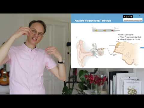 Vorlesung Biologische Psychologie S11_2