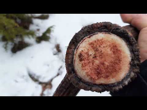 zrzuty 2023 piękny 14stak😁poradnik jak ominąć zrzuta🤔🤔