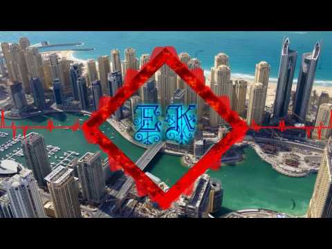 Zoo-Funktion - Dubai (Ger3to & Ortal Israel Remix)