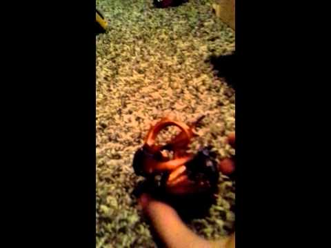 Skylanders shorts episode 1 spyro upgrade