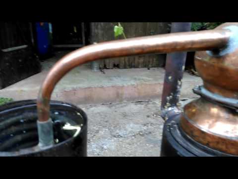 Distillation lavande fine - Mézel