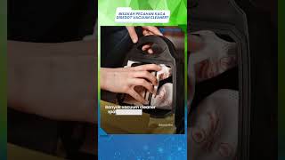 Bolehkah Menyedot Pecahan Kaca Pakai Vacuum Cleaner? Ini Hal yang Perlu Diketahui