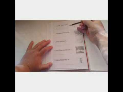 11 de agosto de 2021