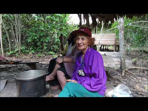 Icarus of the ayahuasca vine / Jose Navas