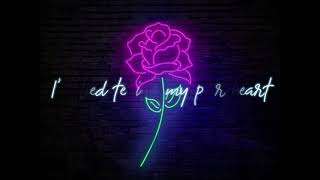 Cigarettes After Sex -Neon Moon (Lyrics)