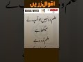 Education Aqwal E Zareen Golden Words Shorts