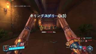 初見プレイのPaladins【Paladins】