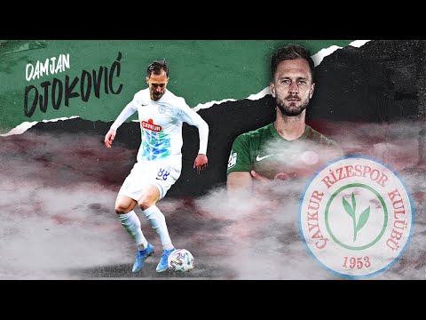 Damjan DJOKOVIC ● CM ● HIGHLIGHTS ● 2021