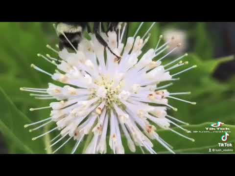 Outdoor Photography Compilation