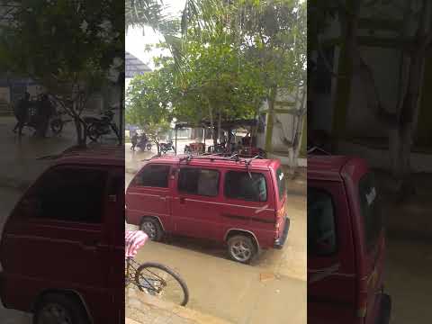 En palmito Sucre llovió en febrero