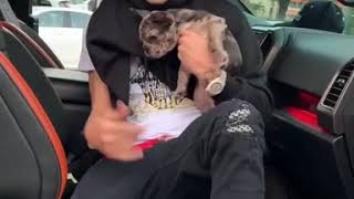 Nio García - Bien Loco Remix