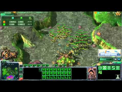 [SC2] TriMaster (T) vs DarkCell (Z) - feat. miniWHEAT