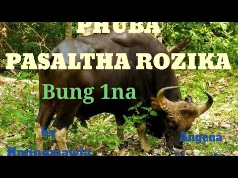 PHUBA PASALTHA ROZIKA BUNG 1 NA