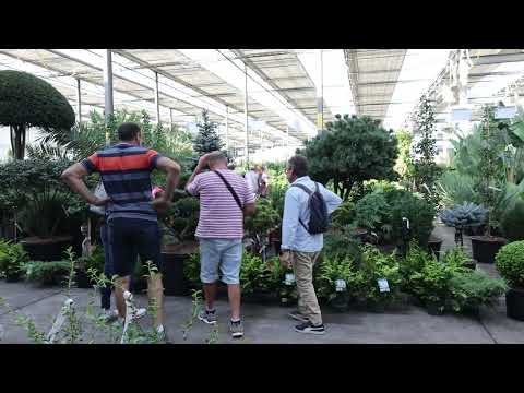 l'automne chez Willaert