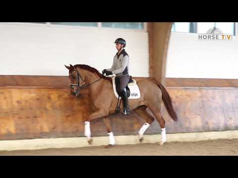 Don Noblesse SanRemo