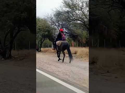 Los Gauchos van a la Fiesta de Villa de Soto, Córdoba, Argentina. #villadesoto