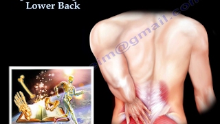 Low Back pain - Everything You Need To Know - Dr. Nabil Ebraheim