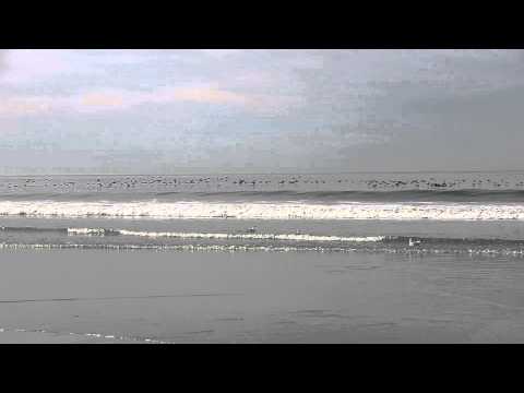 Fly by the Pismo Beach