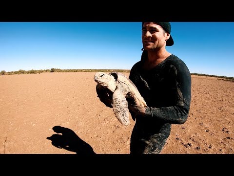 YBS Lifestyle Ep 9 - FEEL GOOD TURTLE RESCUE | Cobia Catch And Cook