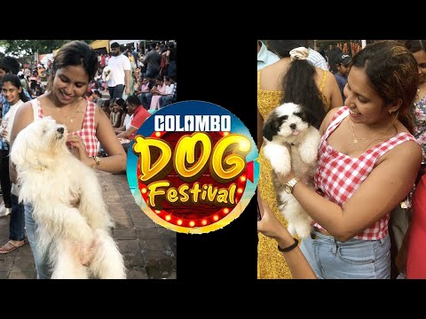 Colombo Dog Festival 2024 #doglover
