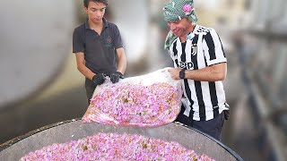 Making 10,000 KG Of Persian Rose Water in Kashan, Iran!!