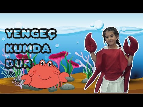 Yengeç Kumda Dur Çocuk Şarkısı - Onur Erol