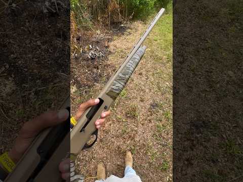 Charles Daly Shotgun