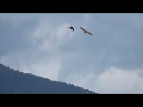 Armstrong X Apollo X NA$A - happiness (Prod.NA$A)