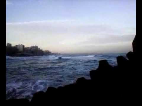 Immobilienmakler in Stuttgart  00201278177724