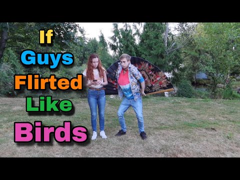 If Guys Flirted Like Birds