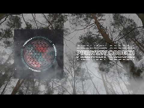 tyszulla - PIERWSZY ODDECH (prod. melonik)