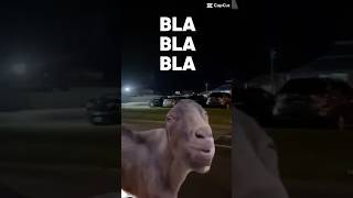 Download lagu BLA BLA BLA mp3 Download lagu BLA BLA BLA mp3