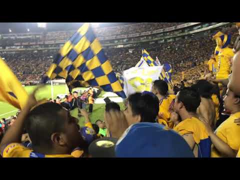 "Libres y Lokos  ðŸŽµðŸŽµðŸŽµ" Barra: Libres y Lokos • Club: Tigres • País: México