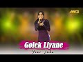 YENI INKA GOLEK LIYANE Official Music Video Lungamu Ninggal Kenangan