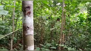 Download lagu story wa 30detik#lagu sunda sedih#pop sunda galau#lagu sunda enak didengar mp3