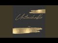Untouchable (Remix)