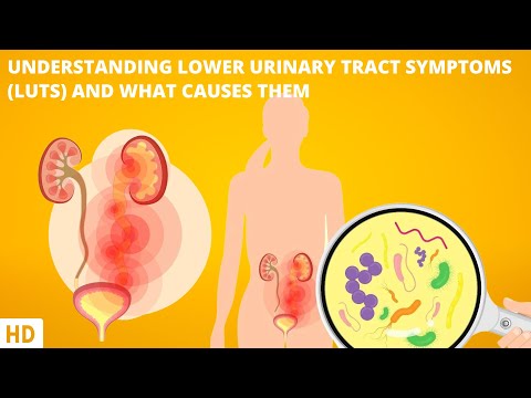 Too Much Peeing Here s What Your Body is Trying to Tell You