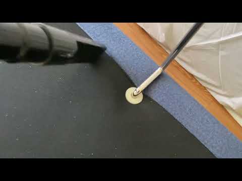 Bed Bugs Having a Party in the Bed in Manalapan, NJ