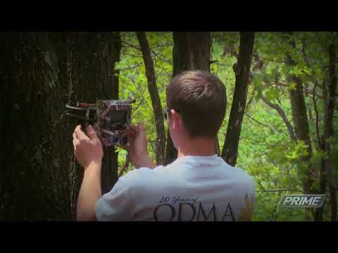 Quick And Easy Tips For Better Food Plots And Better Hunting (#188) @GrowingDeer.tv