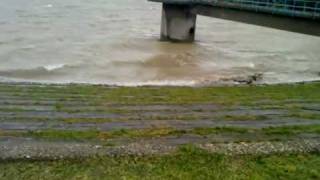 preview picture of video 'fehérvárcsurgói tó árvíz 2010.05.17.'