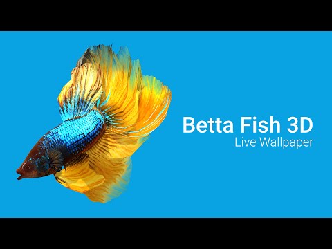 Betta Fish 3D Pro Video