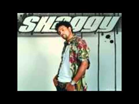 Shaggy - Lost (in the still of the night)