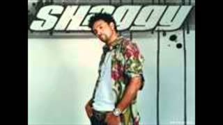 Shaggy - Lost (in the still of the night)