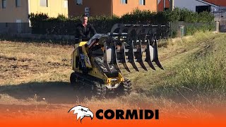 Multifunctional CMF with Mini loader and log grapple / Cormidi