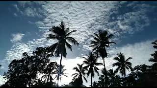 Download lagu RAN - Selamat Pagi mp3