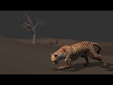 3d tiger attack demo