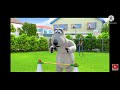 Bernard Bear A Funny Polar Bear Training A Dog