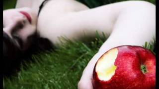 Stillste Stund - Ebenholz, Schnee und Blut (Lyrics)