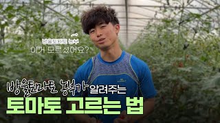 싱싱하고 맛있는 방울토마토 고르는 법