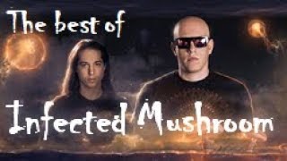 The Best of Infected Mushroom (1999 - 2017 Mix)